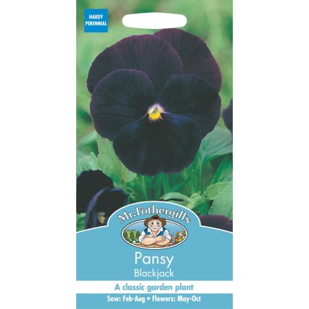 UK/FO-PANSY Blackjack - image 1