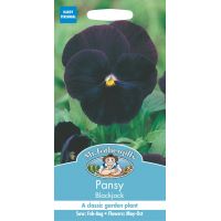 UK/FO-PANSY Blackjack - image 1