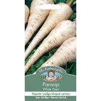 UK/FO-PARSNIP White Gem - image 1