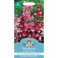 UK/FO-PENSTEMON Mixed Colours - image 1