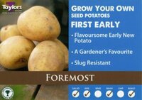 POTATO FOREMOST 35-45 P/P