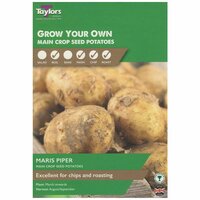 POTATO MARIS PIPER 30-45 P/P