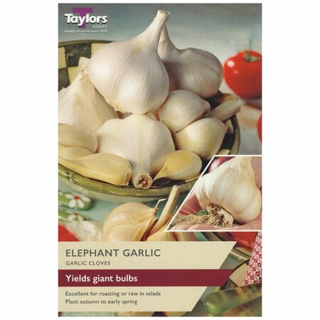 PRE PACK ELEPHANT GARLIC