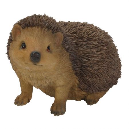 Real Life Hedgehog D