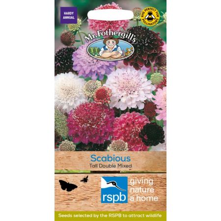 UK/FO-SCABIOUS Tall Double Mixed - image 1