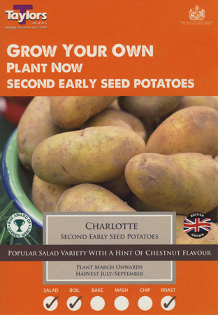 POTATO CHARLOTTE 35-45 P/P