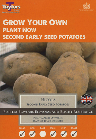 POTATO NICOLA 30-45 P/P