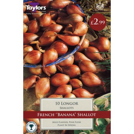 SHALLOT LONGOR 15-35 P/P