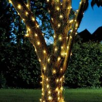 Solar Lights - Thirsk Garden Centre