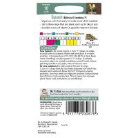 UK/FO-SQUASH (Butternut) Sweetmax F1 - image 2