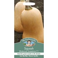 UK/FO-SQUASH (Butternut) Sweetmax F1 - image 1