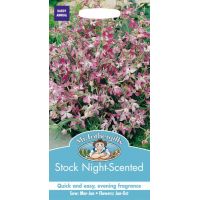 UK/FO-STOCK NIGHT SCENTED - image 1