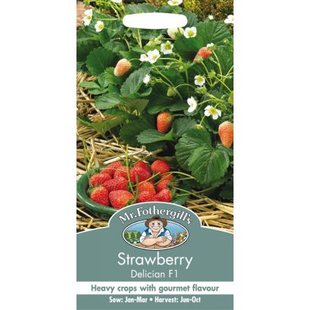 UK/FO-STRAWBERRY Delician F1 - image 1