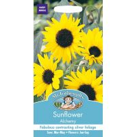 UK/FO-SUNFLOWER Alchemy - image 1