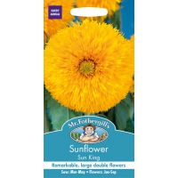 UK/FO-SUNFLOWER Sun King - image 1