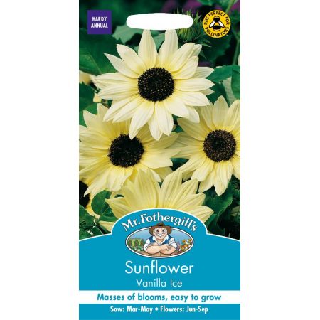 UK/FO-SUNFLOWER Vanilla Ice - image 1