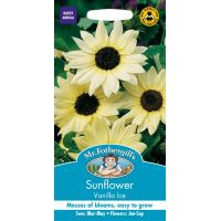 UK/FO-SUNFLOWER Vanilla Ice - image 1