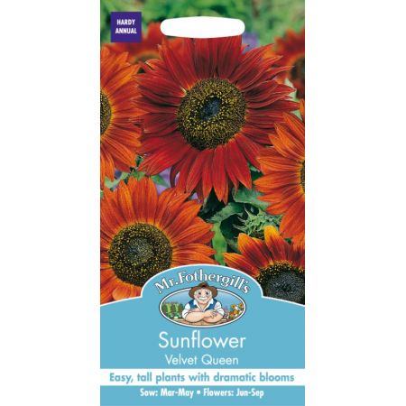 UK/FO-SUNFLOWER Velvet Queen - image 1