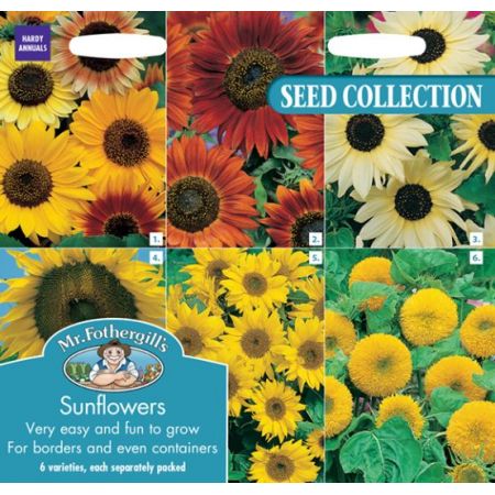 UK/FO-SUNFLOWERS COLLECTION - image 1