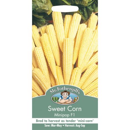 UK/FO-SWEET CORN Minipop F1 - image 1