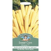 UK/FO-SWEET CORN Minipop F1 - image 1