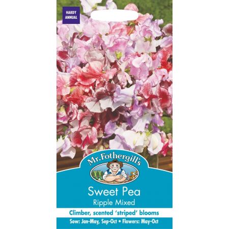 UK/FO-SWEET PEA Ripple Mixed - image 1