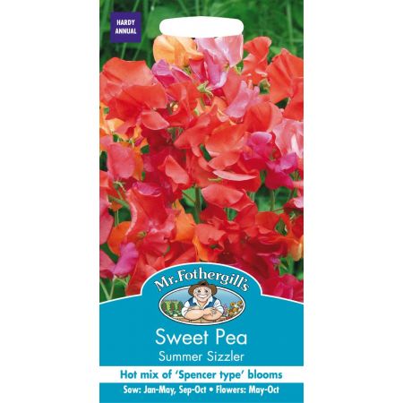 UK/FO-SWEET PEA Summer Sizzler - image 1