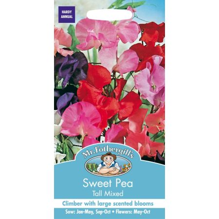 UK/FO-SWEET PEA Tall Mixed - image 1