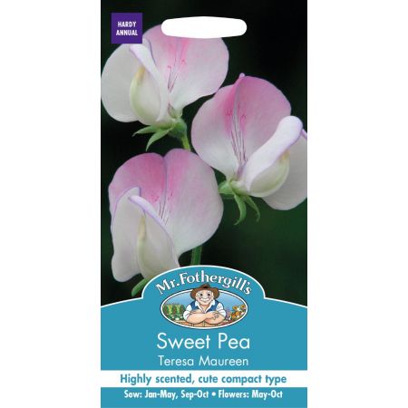 UK/FO-SWEET PEA Teresa Maureen - image 1