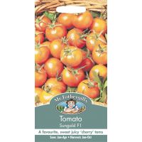 UK/FO-TOMATO Sungold F1 - image 1