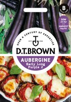 UK/DT-AUBERGINE Early Long Pur - image 1