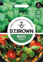 UK/DT-BASIL Sweet - image 1