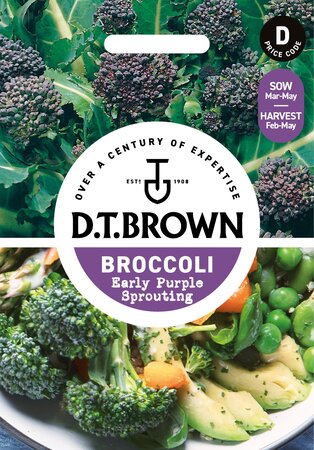 UK/DT-BROCCOLI Early Purple Sp - image 1