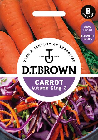 UK/DT-CARROT Autumn King 2 - image 1