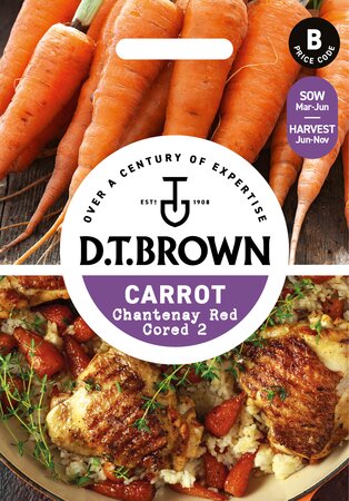 UK/DT-CARROT Chantenay Red Cor - image 1