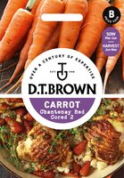 UK/DT-CARROT Chantenay Red Cor - image 1