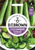 UK/DT-CUCUMBER Telegraph Impro - image 1