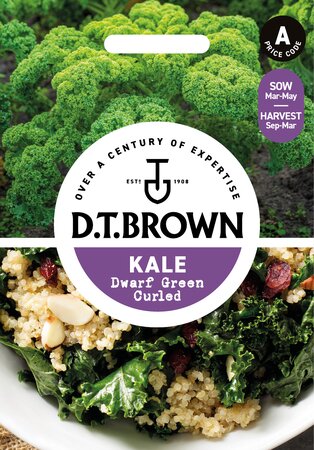 UK/DT-KALE Dwarf Green Curled - image 1