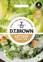 UK/DT-LETTUCE Little Gem - image 1