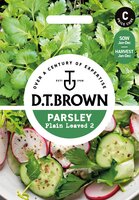 UK/DT-PARSLEY Plain Leaved 2 - image 1