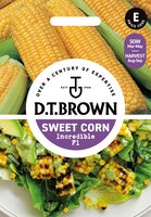 UK/DT-SWEET CORN Incredible F1 - image 1