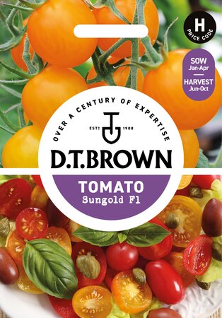 UK/DT-TOMATO Sungold F1 - image 1