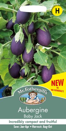 UK/FO-AUBERGINE Baby Jack