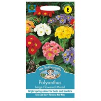 UK/FO-POLYANTHUS Large Flowered