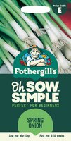 UK/FO-SS-SPRING ONION - image 1