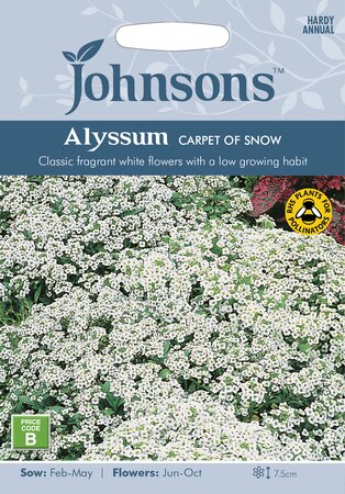 UK/JO-ALYSSUM Carpet of Snow - image 1