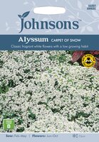 UK/JO-ALYSSUM Carpet of Snow - image 3