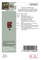 UK/JO-BEETROOT Boltardy - image 2