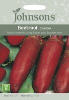 UK/JO-BEETROOT Cylindra - image 1