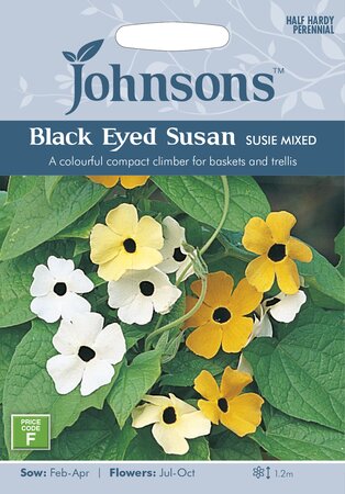 UK/JO-BLACK EYED SUSAN Susie Mixed